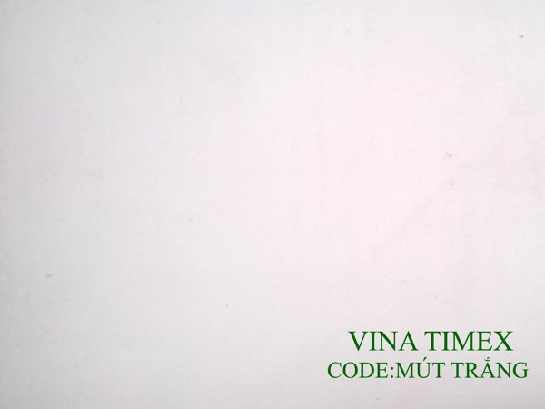 Mex - Công Ty TNHH Vina Timex